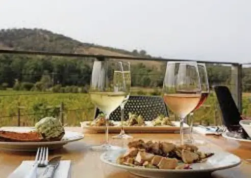 Private Driver and Car Hire